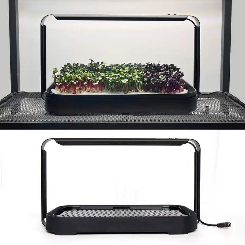 Система для выращивания микроз – обзор и цена Self-Watering Planter